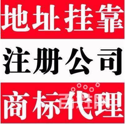 專業高效，一站式企業服務 相城區陸慕諾信財務小張詳解